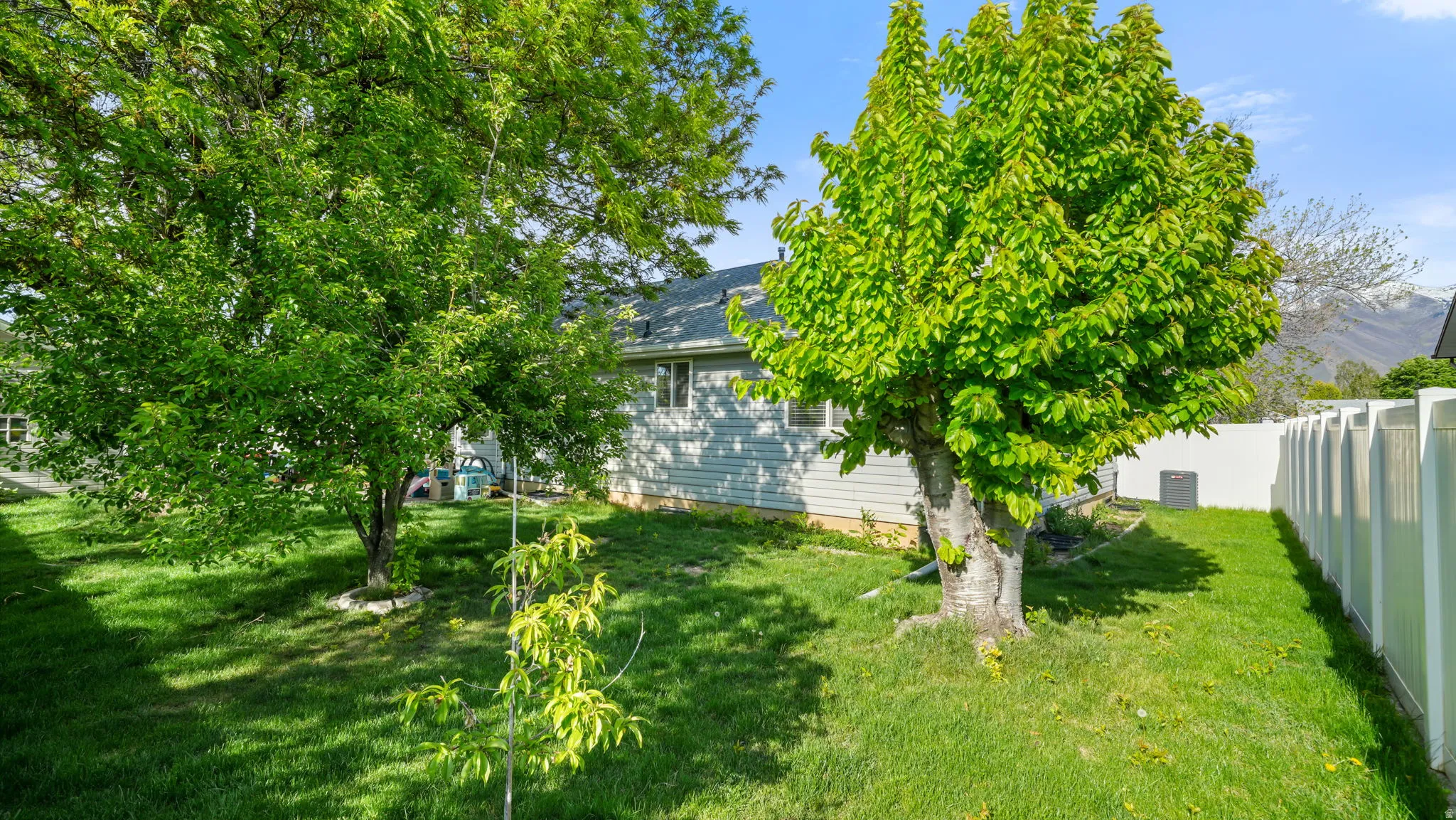 View of fenced yard