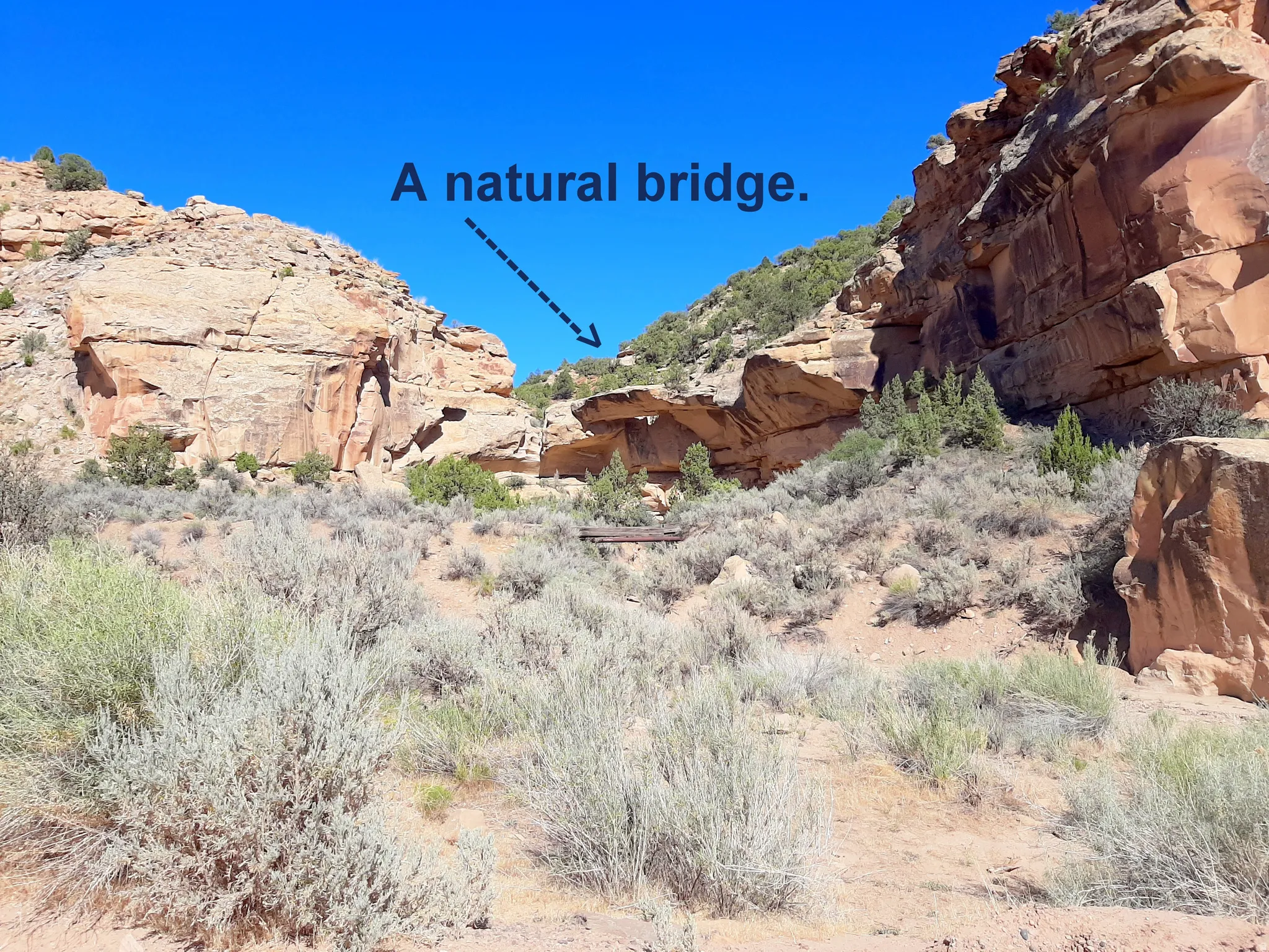 Is different than an Arch.