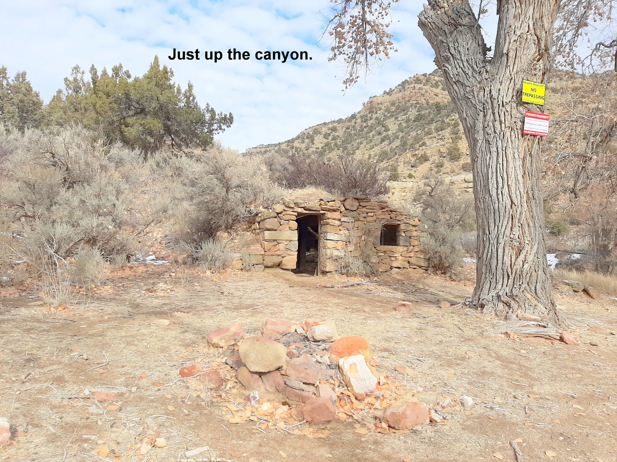 This must be the little piggy that built his house with stones.