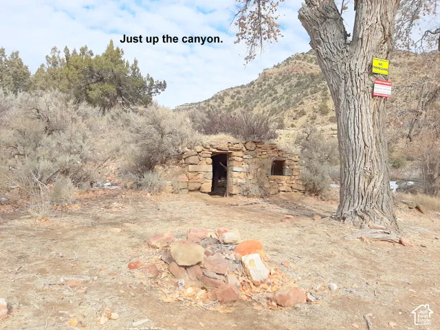 This must be the little piggy that built his house with stones.