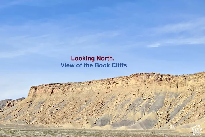 View of mountain Book Cliffs.