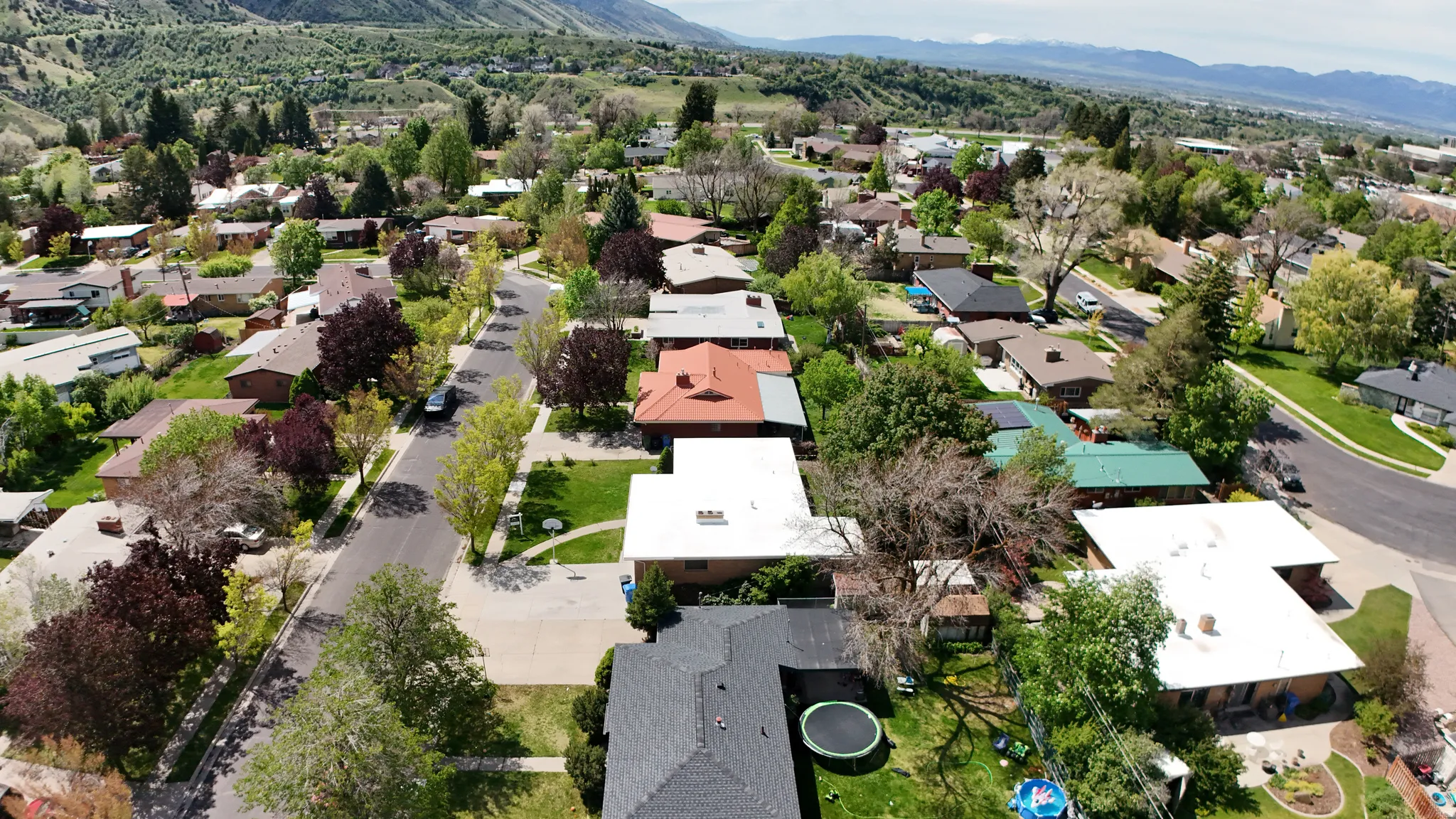 Residential street lined with mature trees, established landscaping, and varied rooflines