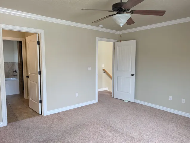 Carpeted room with crown molding, a ceiling fan with light fixture, and white trim