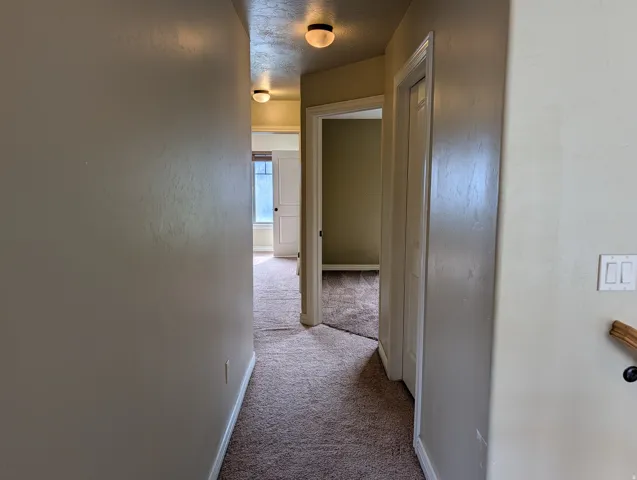 Carpeted hallway with flush mount ceiling lights and neutral wall colors