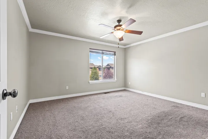 Carpeted interior space featuring a ceiling fan with light fixture, crown molding, and a single window