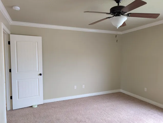 Neutral wall paint, crown molding, ceiling fan with light fixture, carpeted flooring, and white paneled door