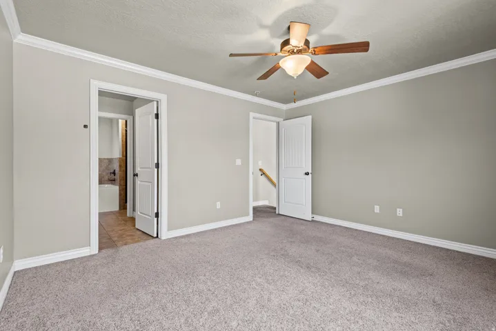 Spacious room featuring neutral carpeting, light gray walls, white crown molding, and a ceiling fan with a light fixture