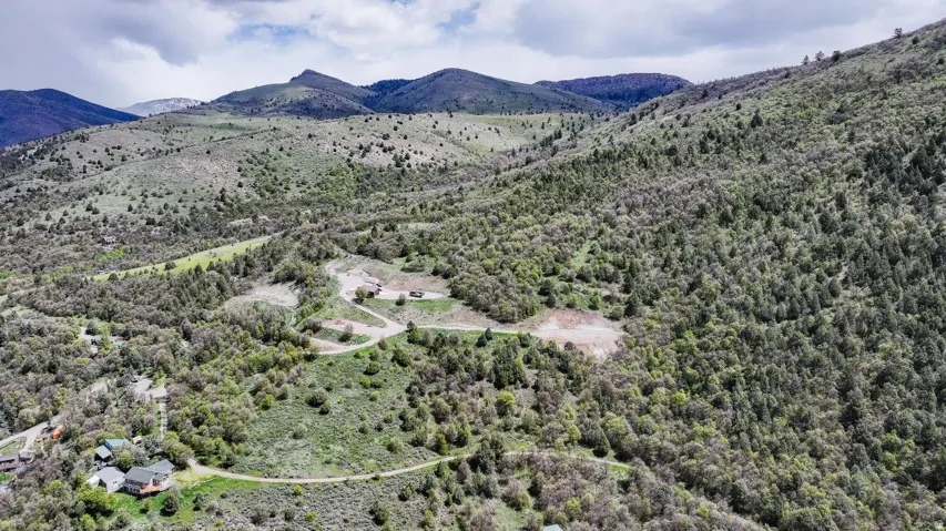 Aerial view of a mountain backdrop and a heavily wooded area