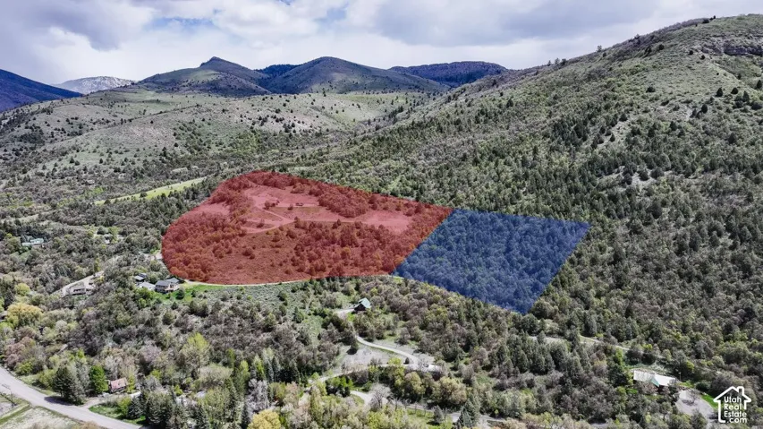 Mountain view featuring a forest
