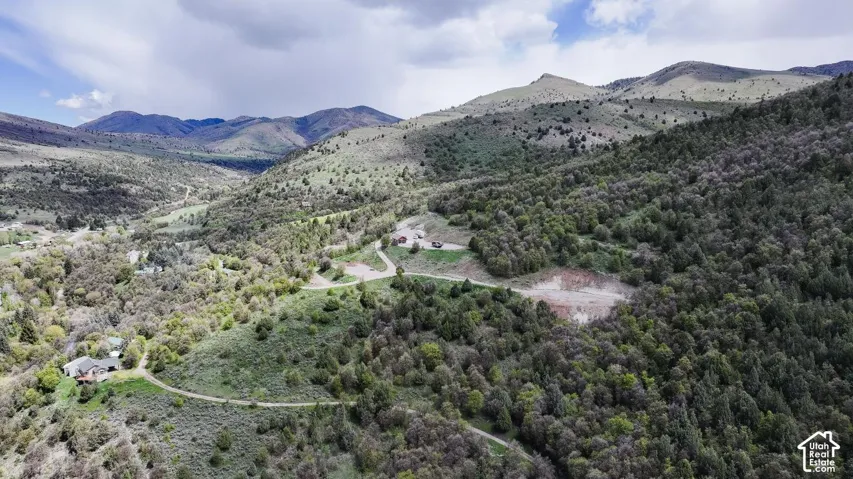 Mountain view with a heavily wooded area
