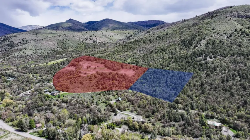 Mountain view featuring a forest