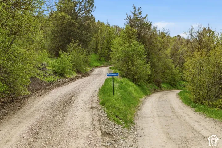View of dirt / gravel road featuring a wooded view - start of property on left -road going up to house