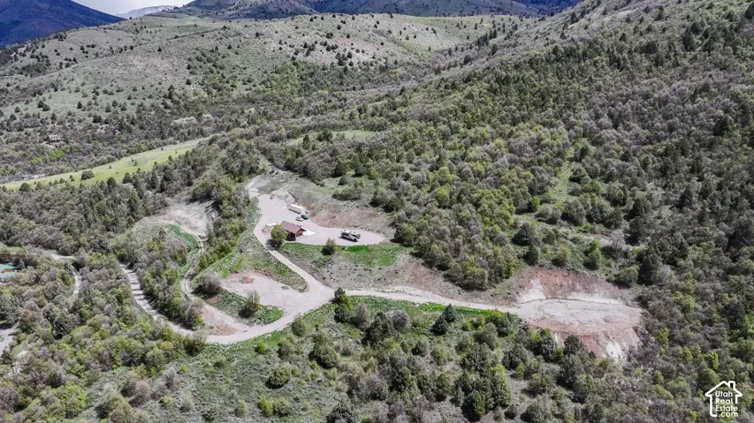 Drone / aerial view of a forest and a mountain backdrop