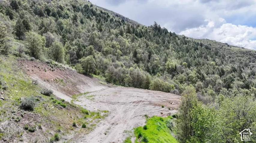 View of mountain background featuring a heavily wooded area