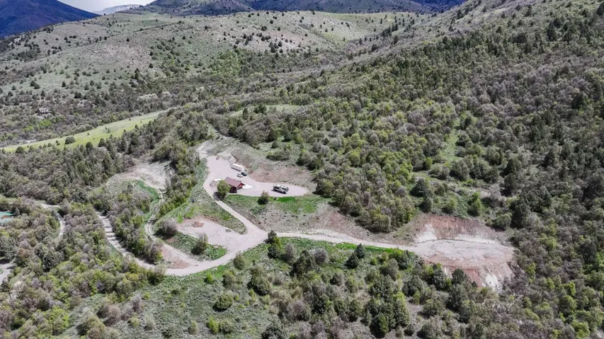 Drone / aerial view of a forest and a mountain backdrop