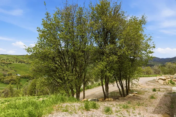 View of undeveloped land featuring a mountain backdrop-looking north