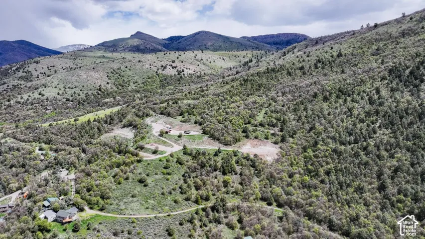Aerial view of a mountain backdrop and a heavily wooded area
