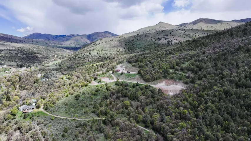 Mountain view with a heavily wooded area