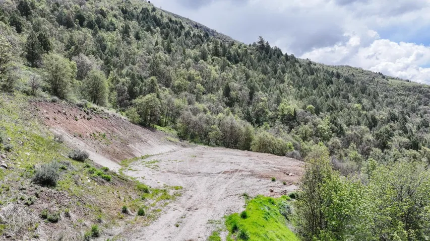View of mountain background featuring a heavily wooded area