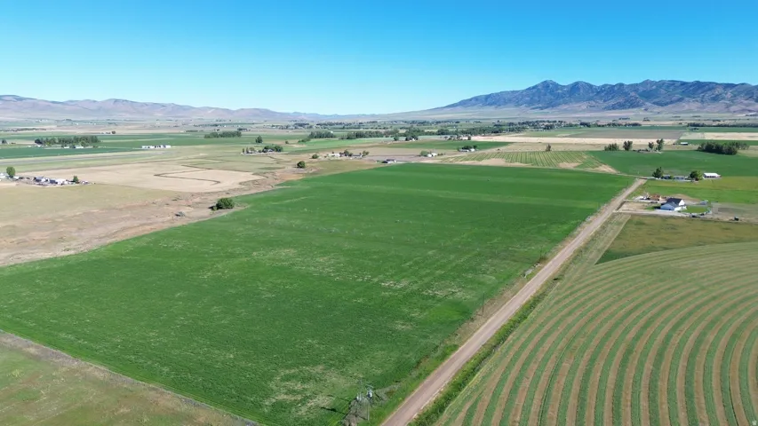 Expansive green fields with a dirt road, surrounded by distant mountains and a clear sky