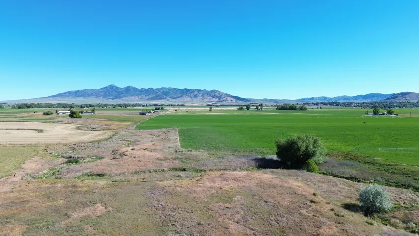 Expansive rural property featuring diverse terrain, including a large green field, dry grasslands, and varied foliage