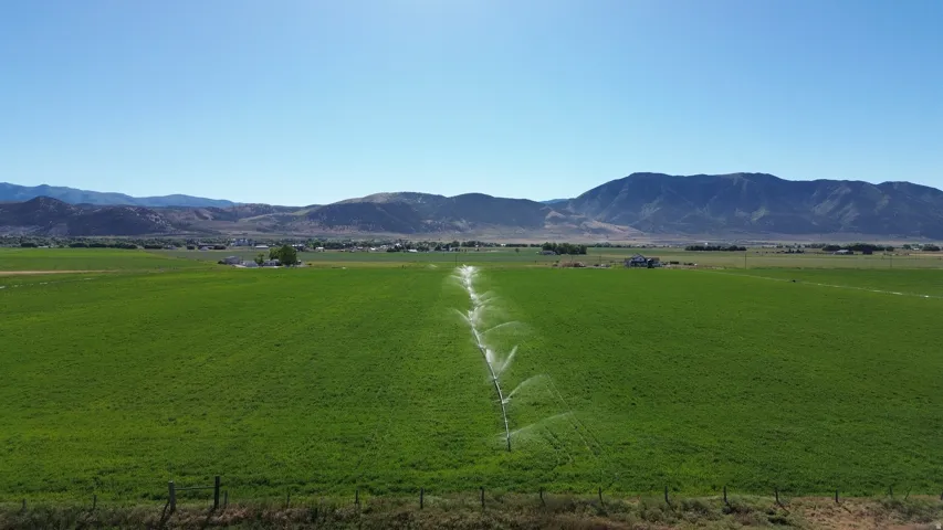 Expansive green field featuring an active irrigation system, bordered by a wooden fence line