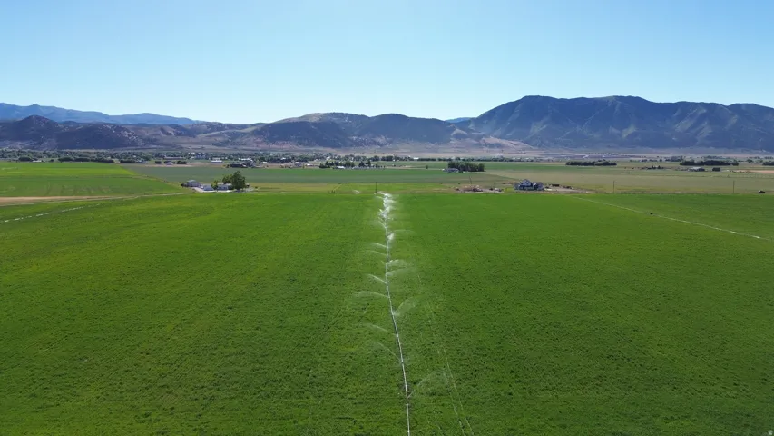 Expansive green fields with a visible irrigation system