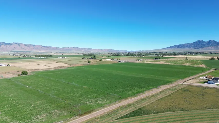 Expansive agricultural land featuring a clear blue sky, distant mountains, and a dirt road traversing the property