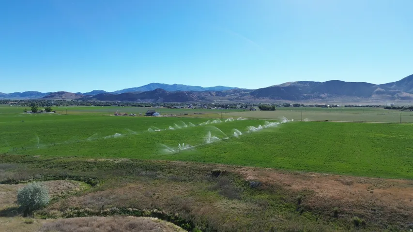 Expansive green fields with active irrigation systems under a clear sky