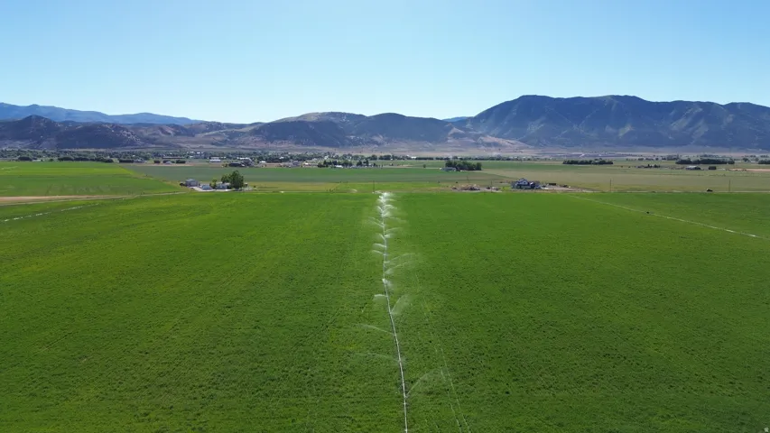 Expansive green field with active irrigation system, bordered by distant mountains