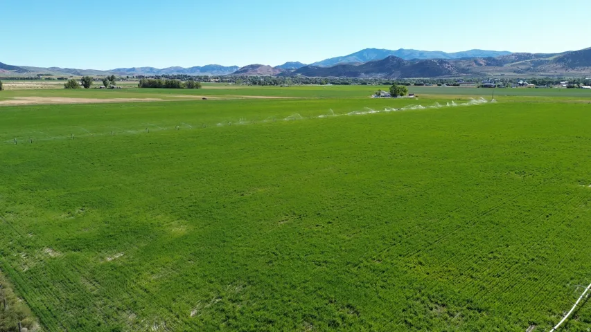 Expansive green fields with irrigation systems operating, set against a backdrop of distant mountains