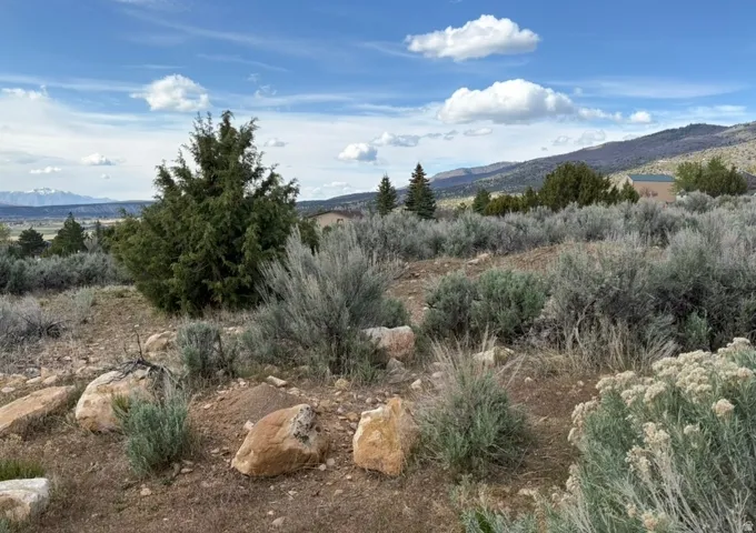 22498 N 12320 E #b58, Fairview, Utah 84629
