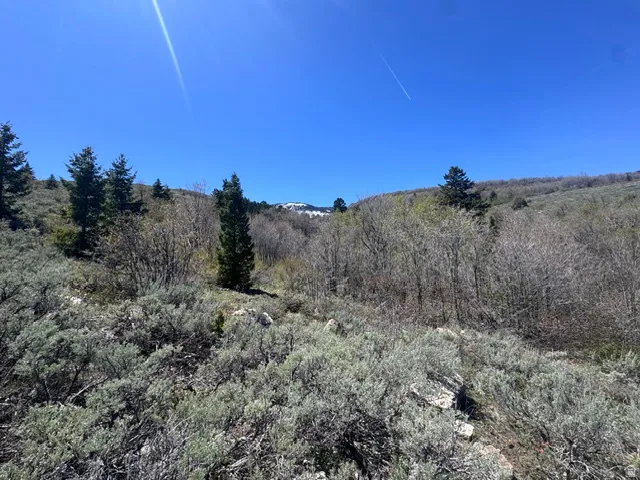 425 Hickock Dr, Fish Haven, Idaho 83287
