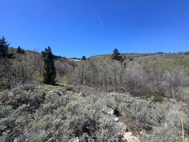 425 Hickock Dr, Fish Haven, Idaho 83287