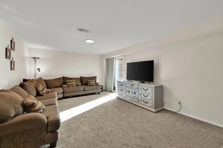 Downstairs Family Room