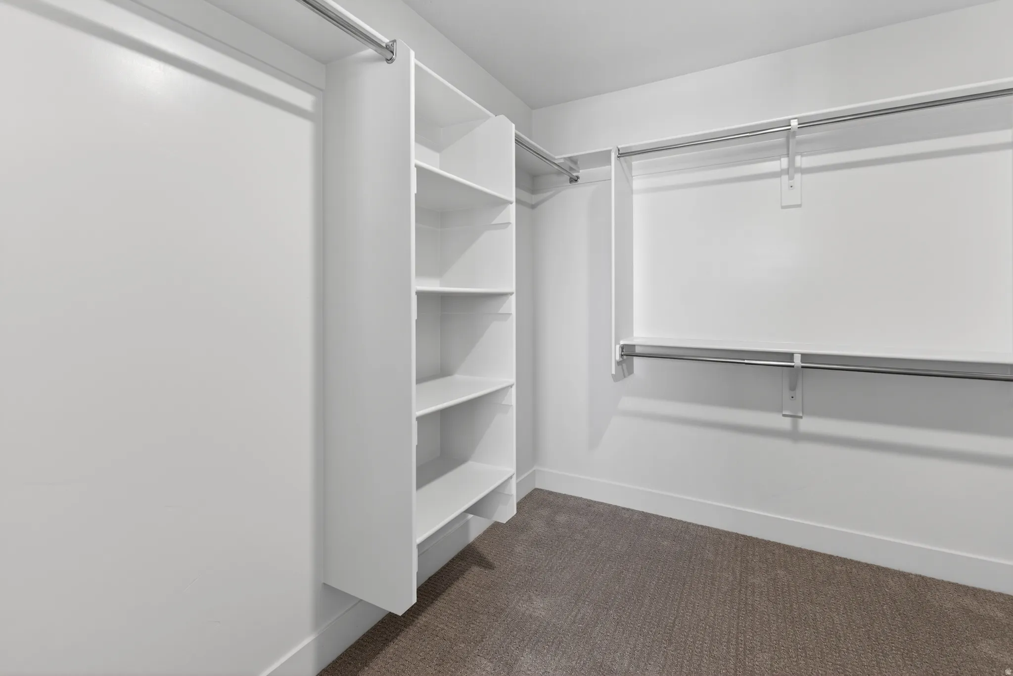 Walk-in closet with built-in shelving, chrome hanging rods, white trim, and neutral-toned carpeting