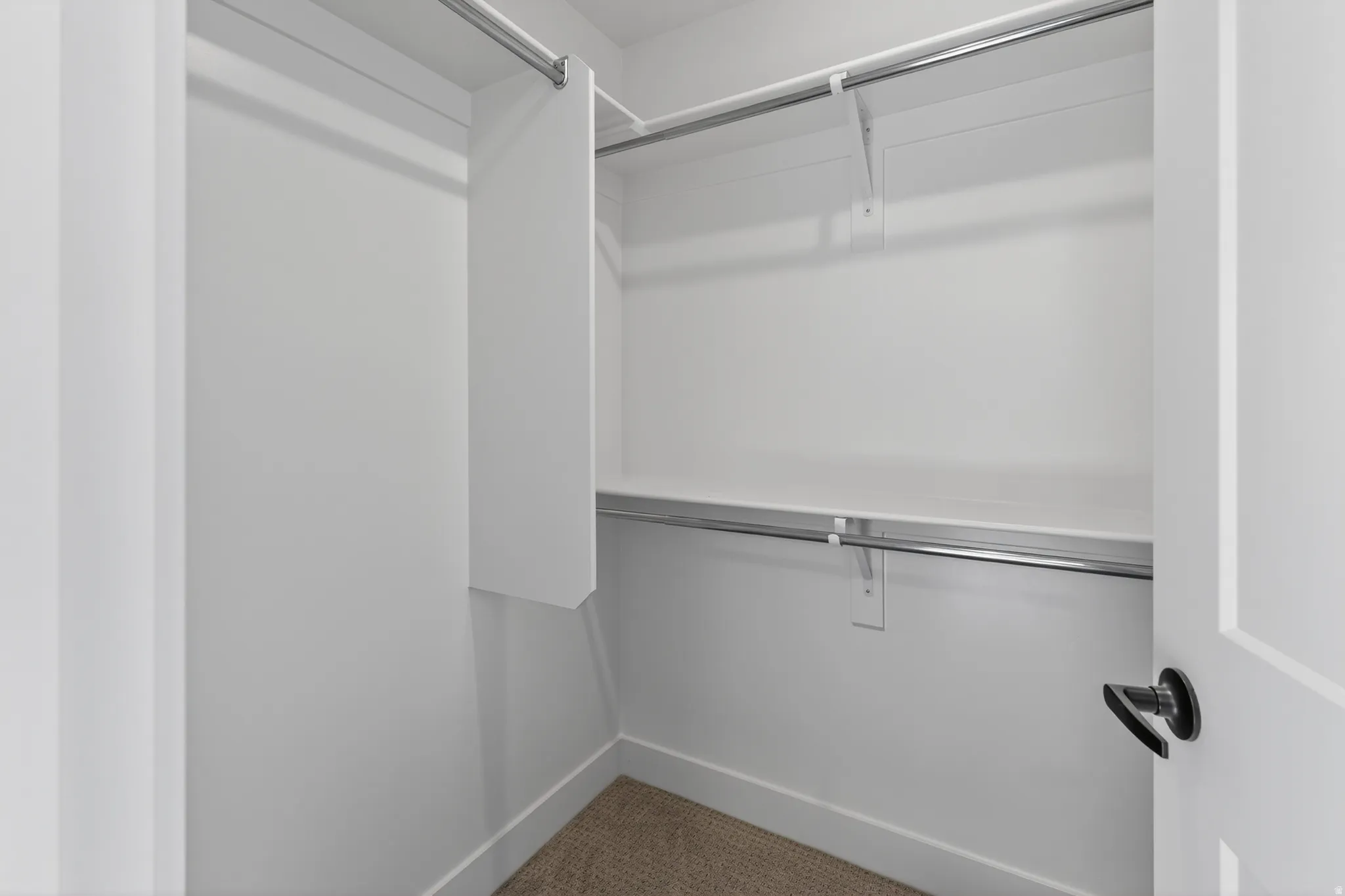 Walk-in closet featuring white painted walls, white trim, and light brown carpeting