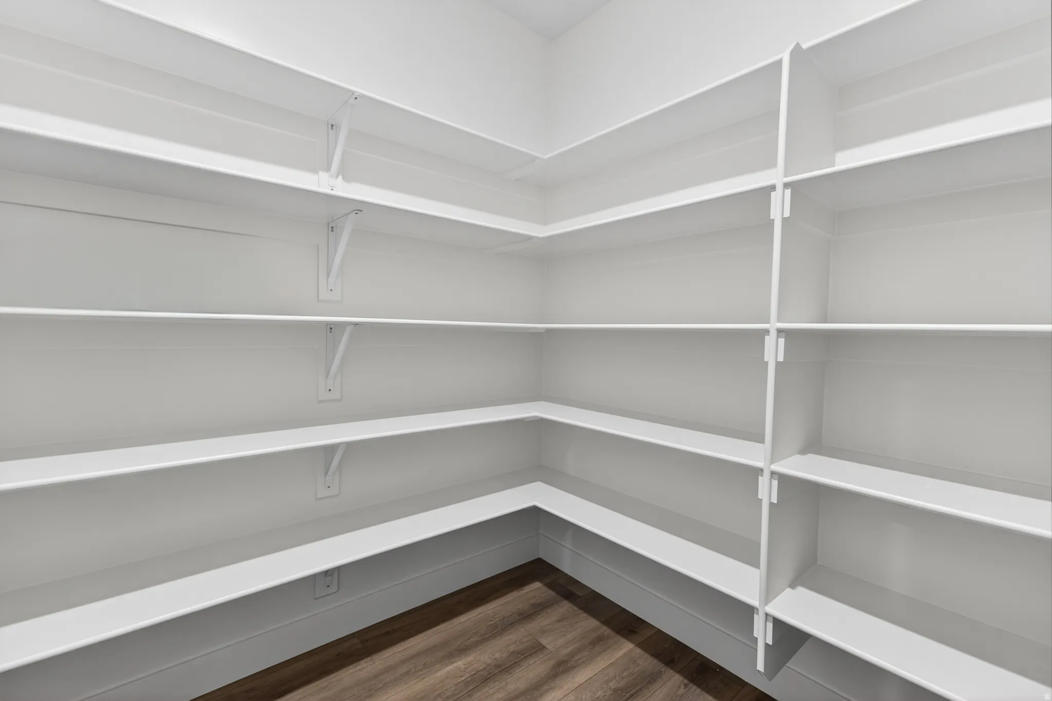 Expansive pantry featuring multi-level shelving, white finishes, and wood-finish flooring