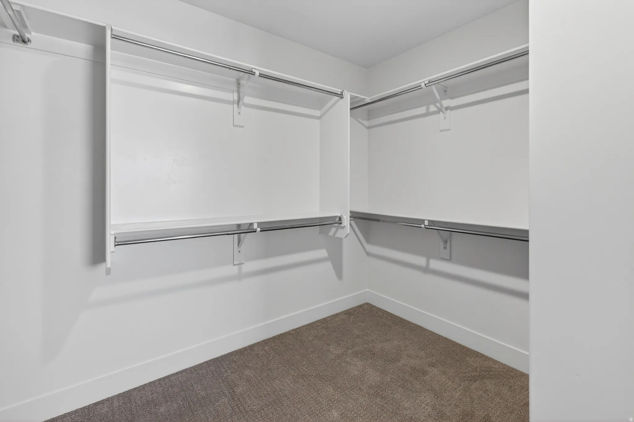 Walk-in closet featuring white shelving, multiple chrome hanging rods, and neutral-toned carpeting