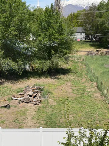 View of yard featuring a mountain view and view of wooded area