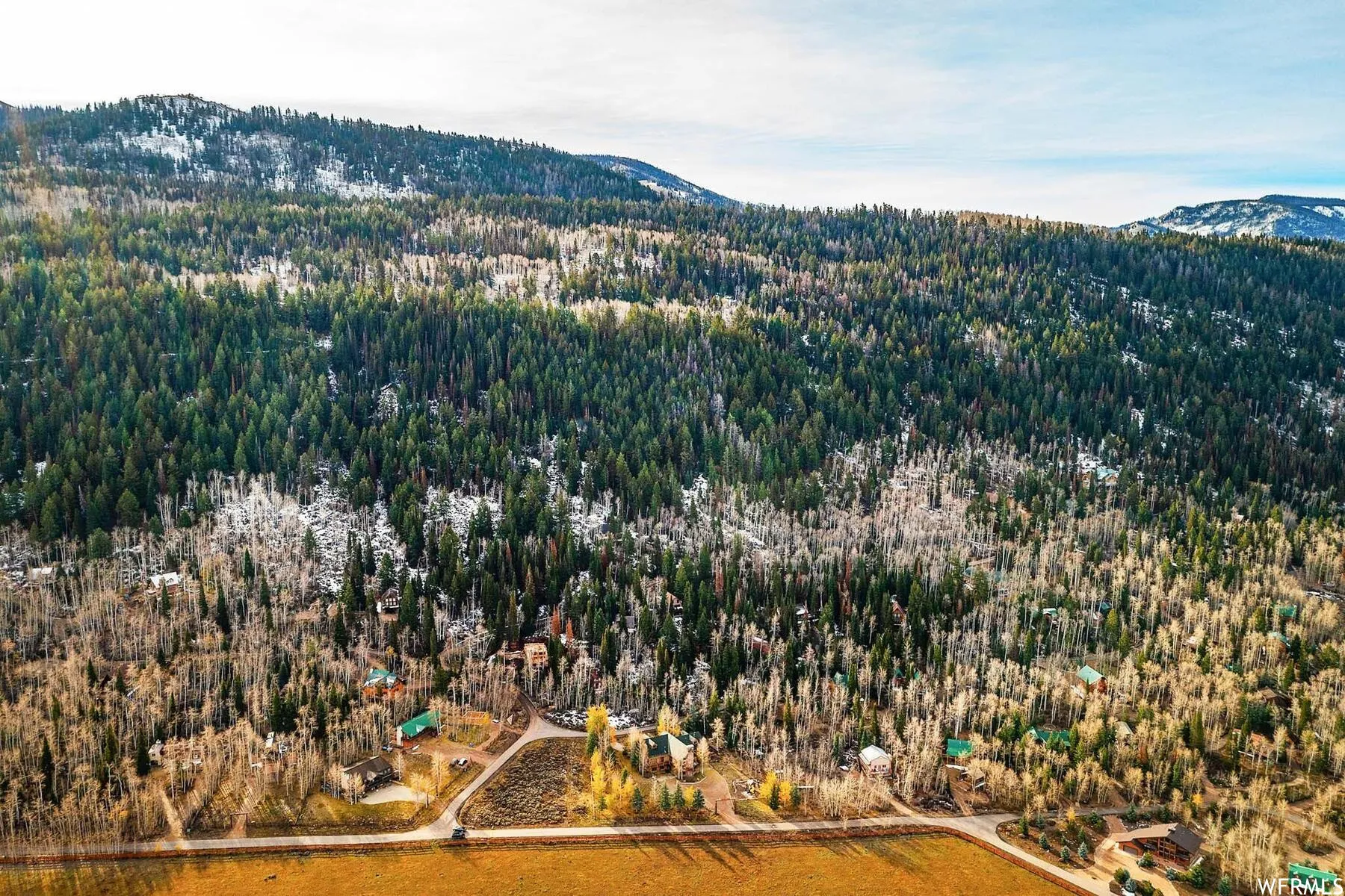 Drone / aerial view of mountains and a forest