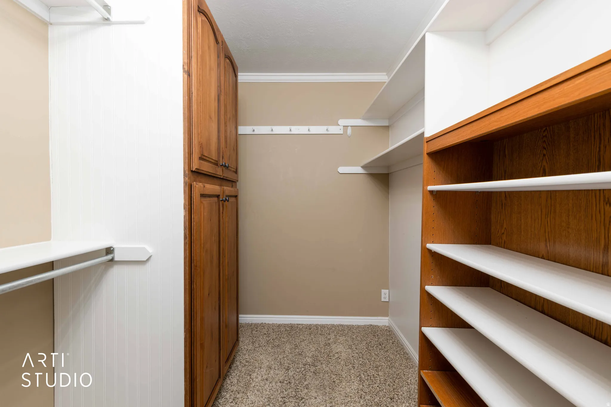 Walk in closet with light colored carpet