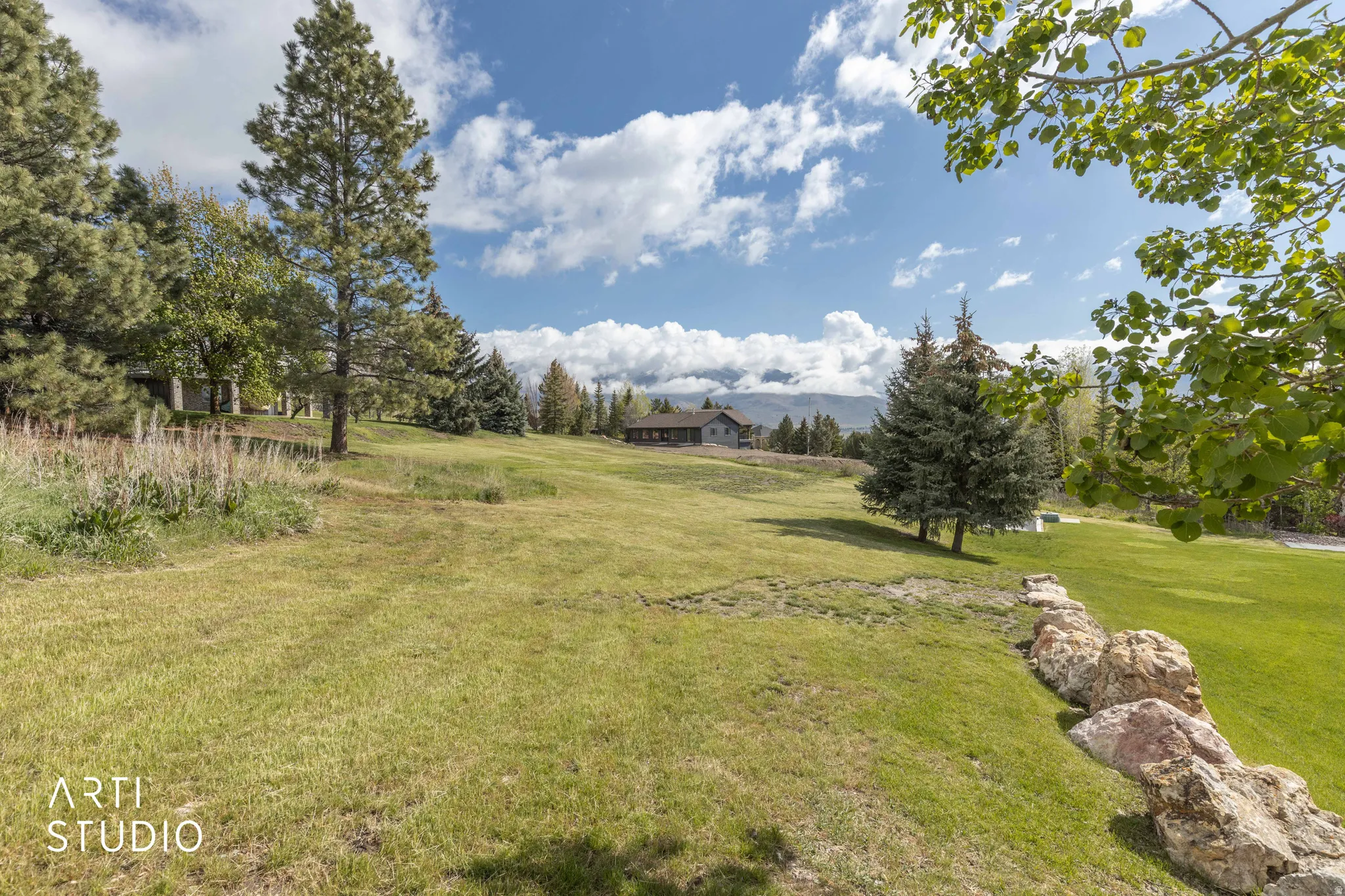View of grassy yard