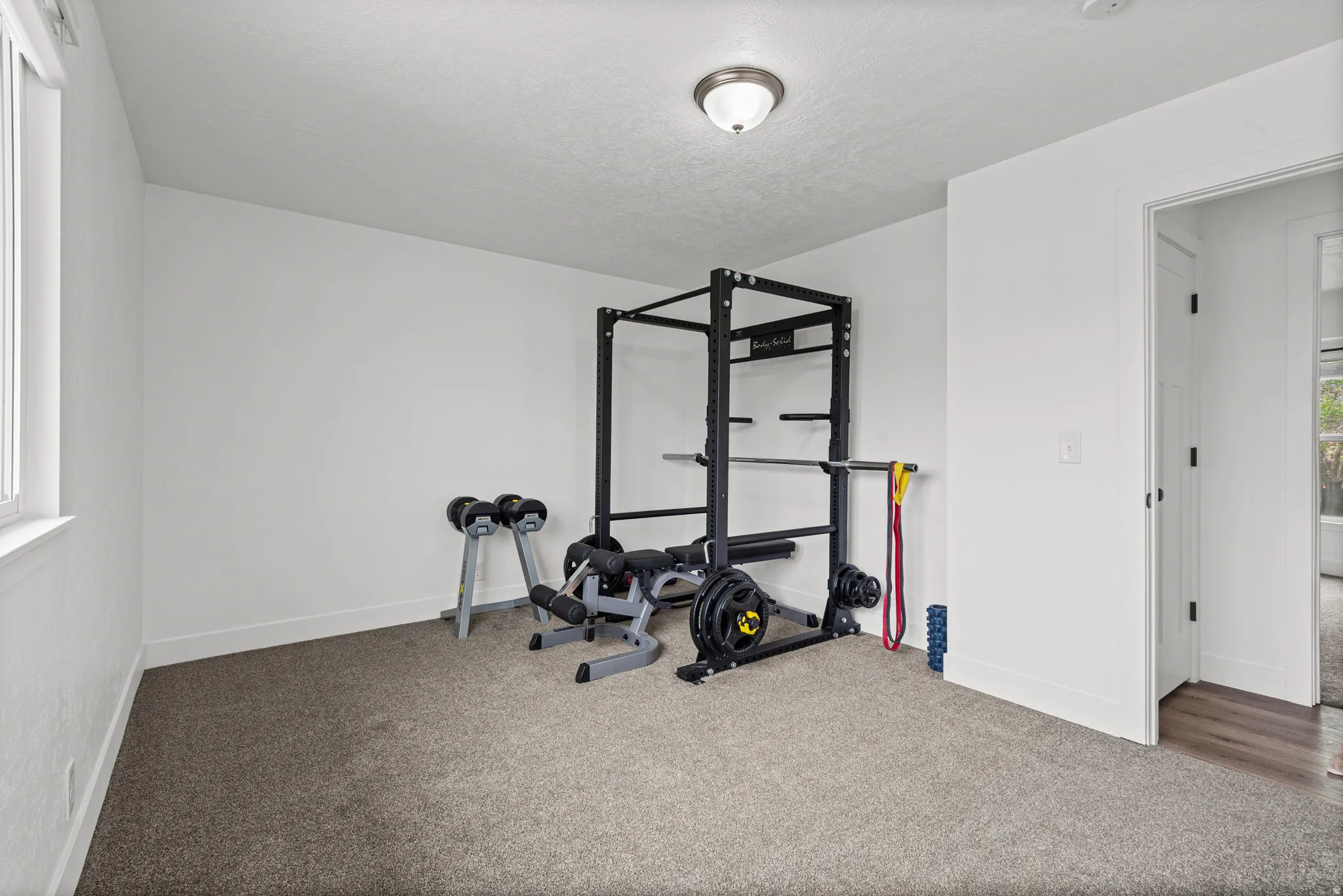 Workout area featuring carpet floors