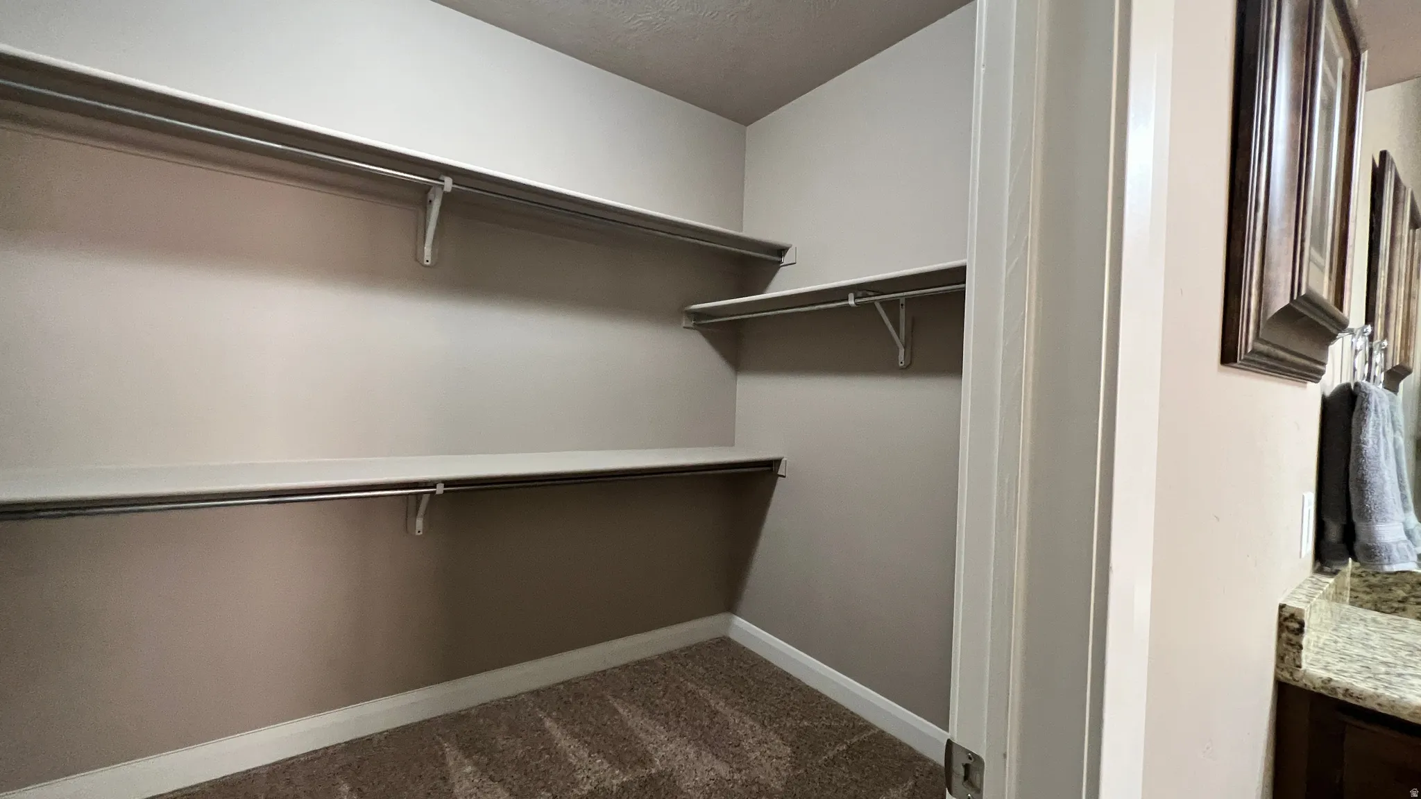 Walk in closet with dark carpet