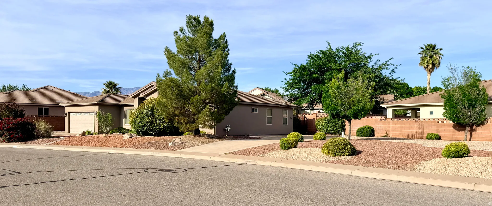 View of property hidden behind natural elements with stucco siding, concrete driveway, and an attached garage