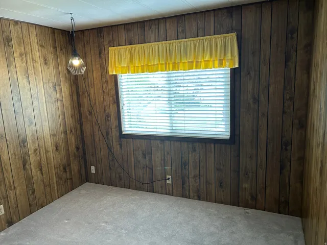 Carpeted spare room with wooden walls