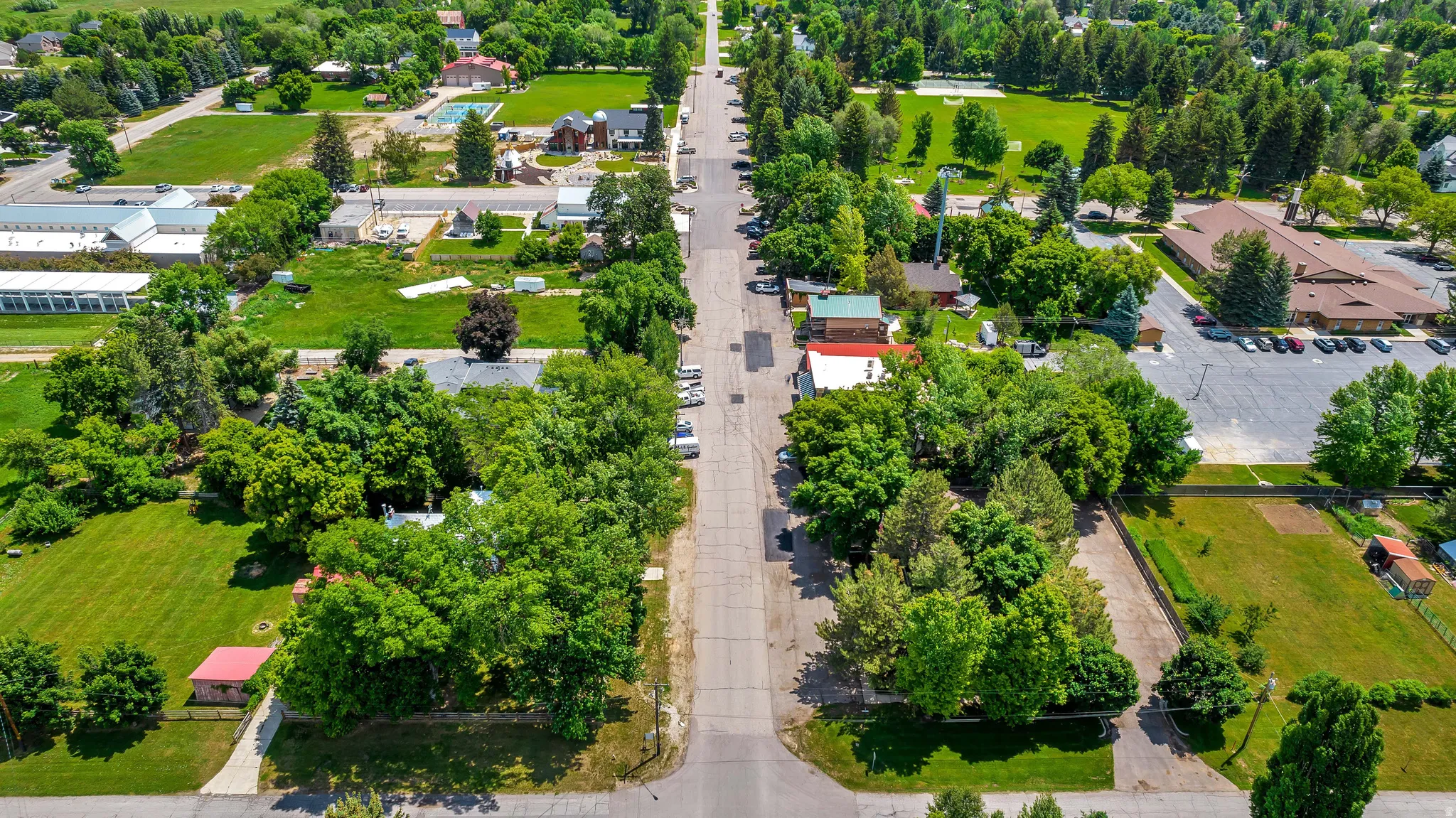 Bird's eye view of a tree filled landscape