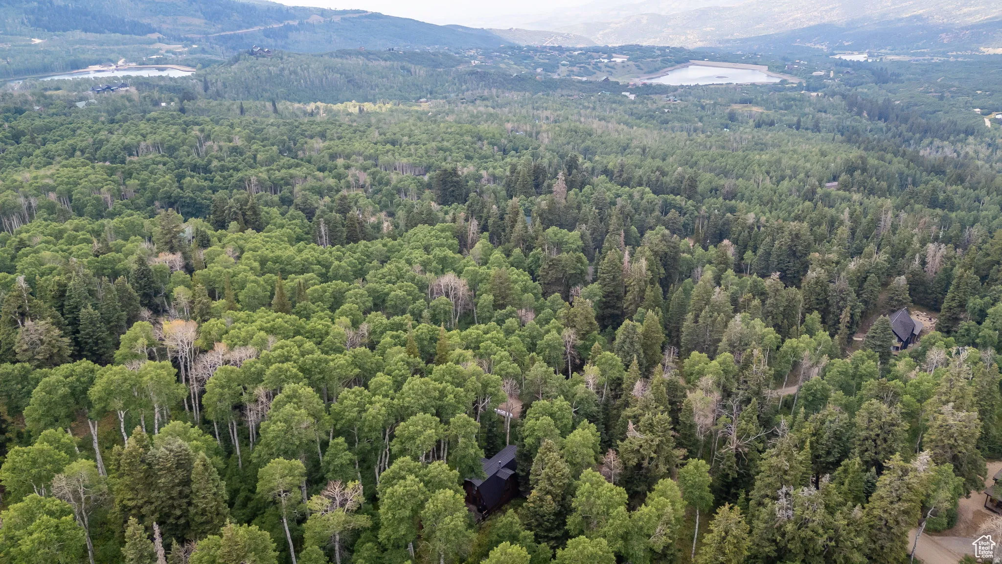 Aerial view of a heavily wooded area and a mountainous background