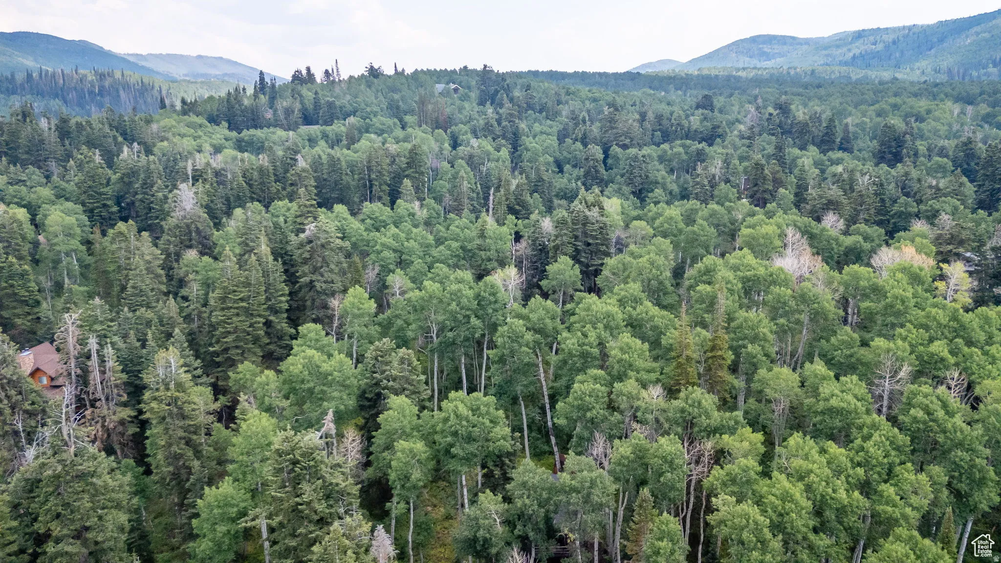 Bird's eye view of mountains and a heavily wooded area
